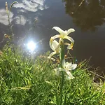 Jaktstuga 83 Bredynki Biskupiec (Olsztyn)