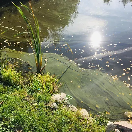 83 Bredynki بيت خشبي *