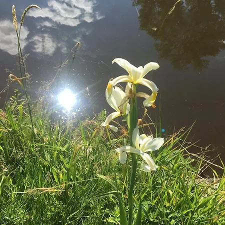 Деревянный коттедж 83 Bredynki Бискупец