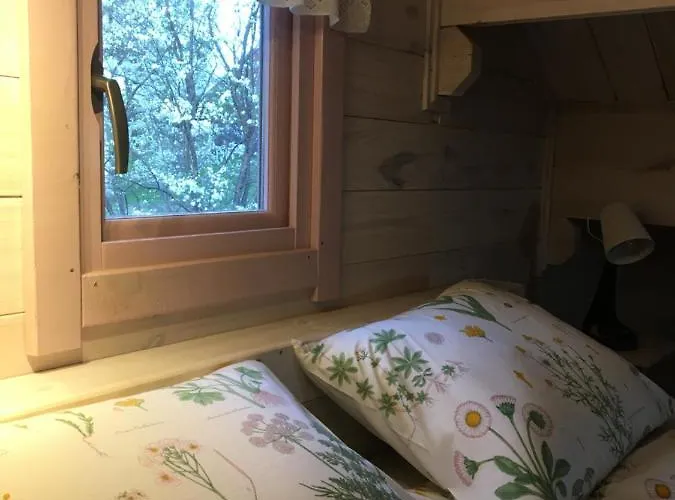 83 Bredynki Lodge Biskupiec (Olsztyn)