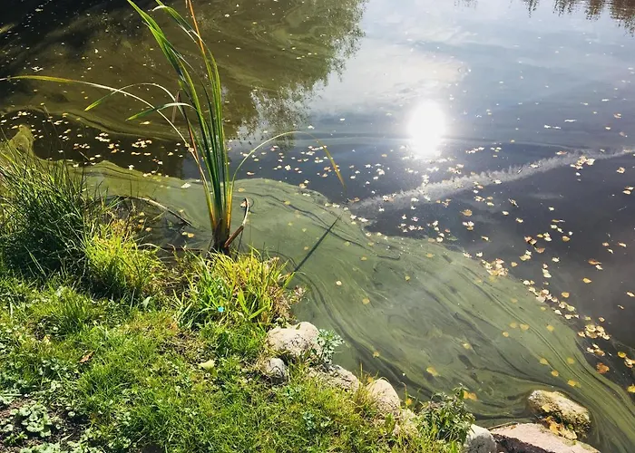 83 Bredynki بيت خشبي *