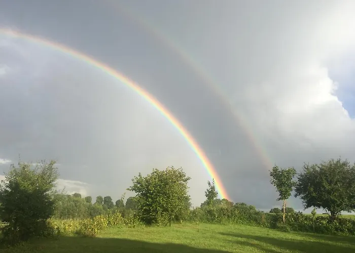 83 Bredynki بيسكوبييت