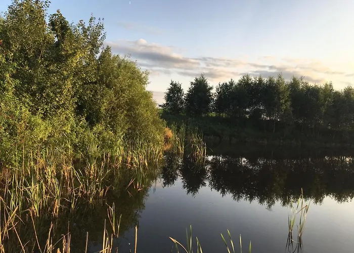 بيت خشبي 83 Bredynki بيسكوبييت